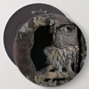 Search for barred badges Owl