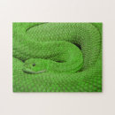 Search for snake puzzles Jungle