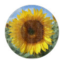 Search for sunflower chopping boards Nature