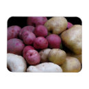 Search for cooked vegetables magnets Cooking