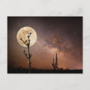 Search for saguaro cactus postcards Moon
