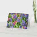 Search for hyacinth cards Garden