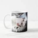 Search for sweet potato mugs Cute
