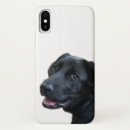 Search for lab lovers iphone cases Black labrador retriever