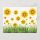 Search for botanical artwork postcards Floral