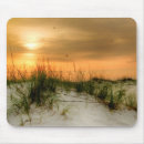 Search for dune electronics Landscapes