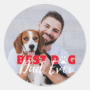 Search for best dog ever stickers Puppy