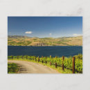 Search for ava postcards Eastern