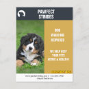 Search for dog walker postcards Pet sitter