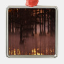 Search for evening christmas tree decorations Environment