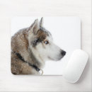 Search for siberian electronics Snow