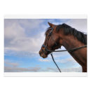 Search for horse heads posters Wild