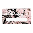 Search for cherry tree photography Beautiful