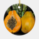 Search for gecko christmas tree decorations Tropical