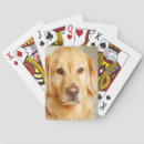 Search for golden retriever playing cards Pet
