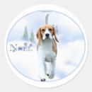 Search for beagle hound stickers Canine