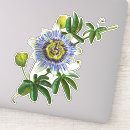 Search for plant macbook sleeves Garden