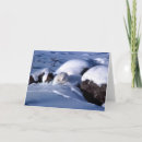 Search for wild christmas cards Arctic