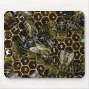 Search for honeycomb mousepads Apiary