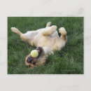 Search for upside down postcards Humour