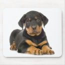 Search for rottie mousepads Dog lover
