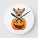 Search for chihuahua clocks Pet