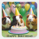 Search for cavy stickers Guinea pig