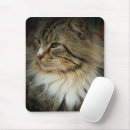 Search for norwegian mousepads Norwegian forest cat