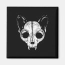 Search for spooky cat magnets Black and white