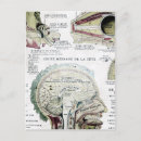 Search for anatomy postcards Vintage