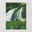 Search for falling over postcards Usa