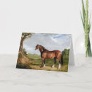 Search for stallion cards Horse