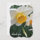 Search for daffodil thank you cards Yellow