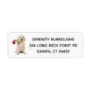Search for golden retrievers return address labels Puppy
