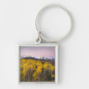 Search for dawn key rings Sky