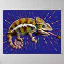 Search for eye catching posters Colourful