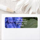 Search for wedding guest return address labels Blue