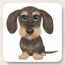 Search for wired coasters Dog