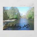 Search for salisbury postcards Maryland