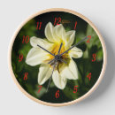 Search for bumblebee clocks Photography