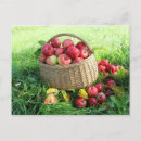 Search for stems postcards Garden