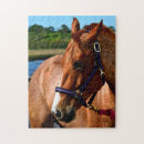 Search for horse puzzles Farm
