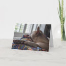 Search for daddy pitbull cards Mum