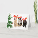 Search for labrador retriever christmas cards Tree