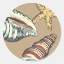 Search for megan stickers Starfish