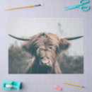 Search for cow tissue paper Animal