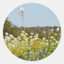 Search for texas hill country stickers Ie