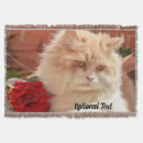 Search for orange tabby cat blankets Pet