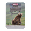 Search for alaska magnets Bear