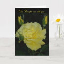 Search for group sympathy cards Death